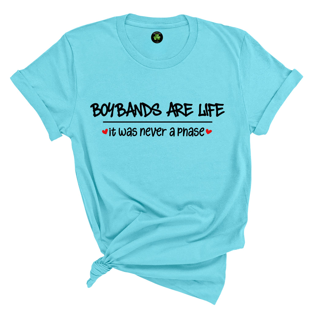 Boybands...It Was Never A Phase Tee