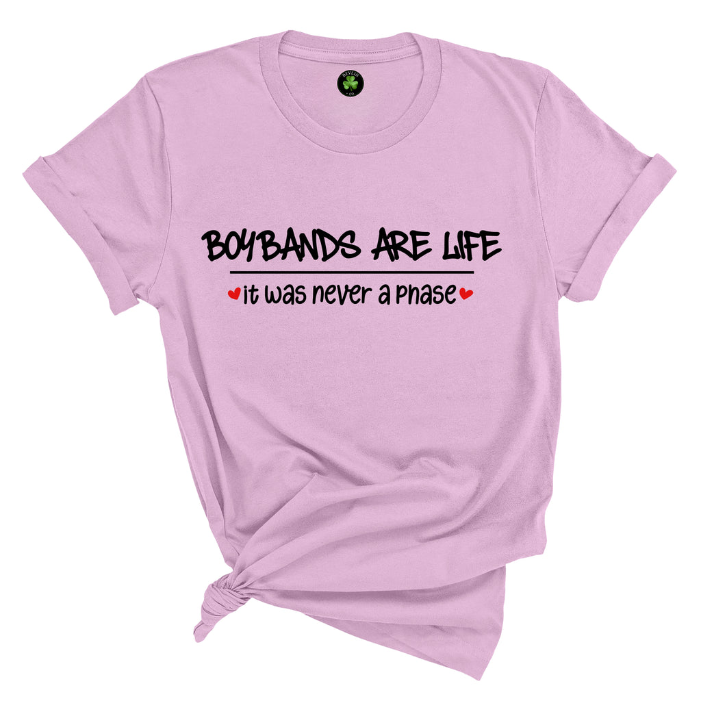 Boybands...It Was Never A Phase Tee