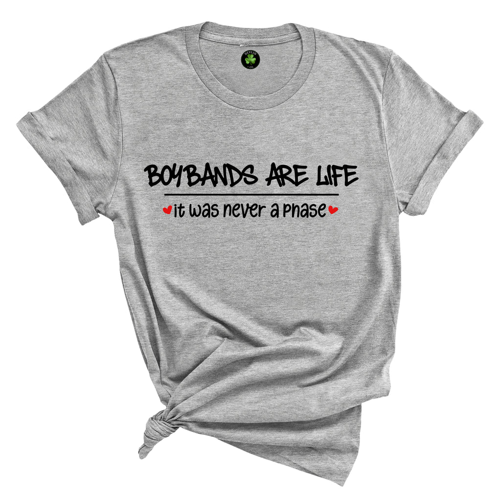 Boybands...It Was Never A Phase Tee